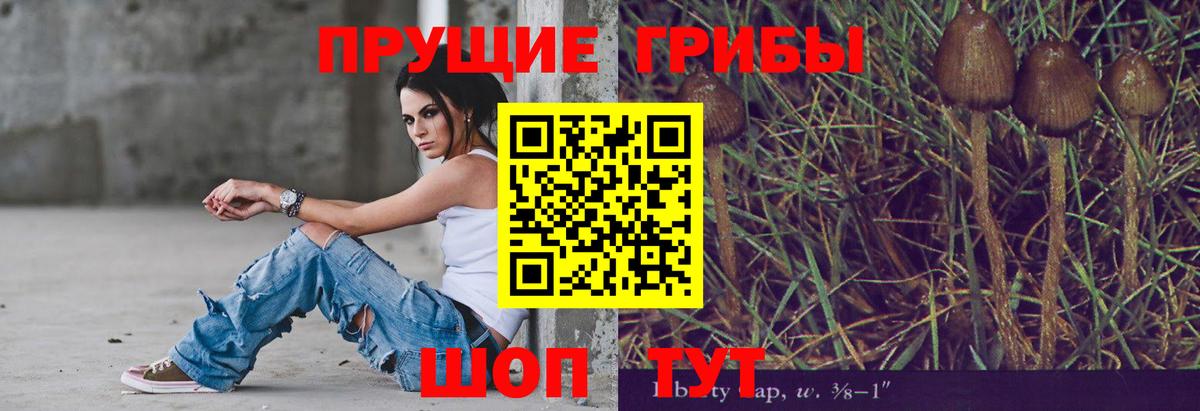 Псилоцибиновые грибы ЛСД  Галлюциногенные грибы Cubensis  Краснознаменск  Вход с VPN 