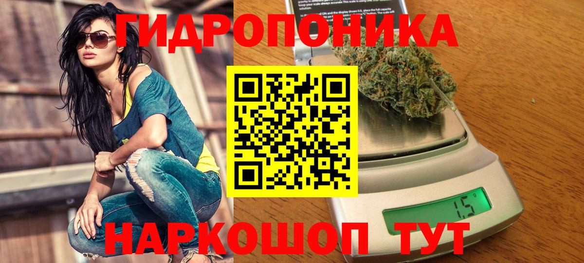 Каннабис SATIVA & INDICA Краснознаменск